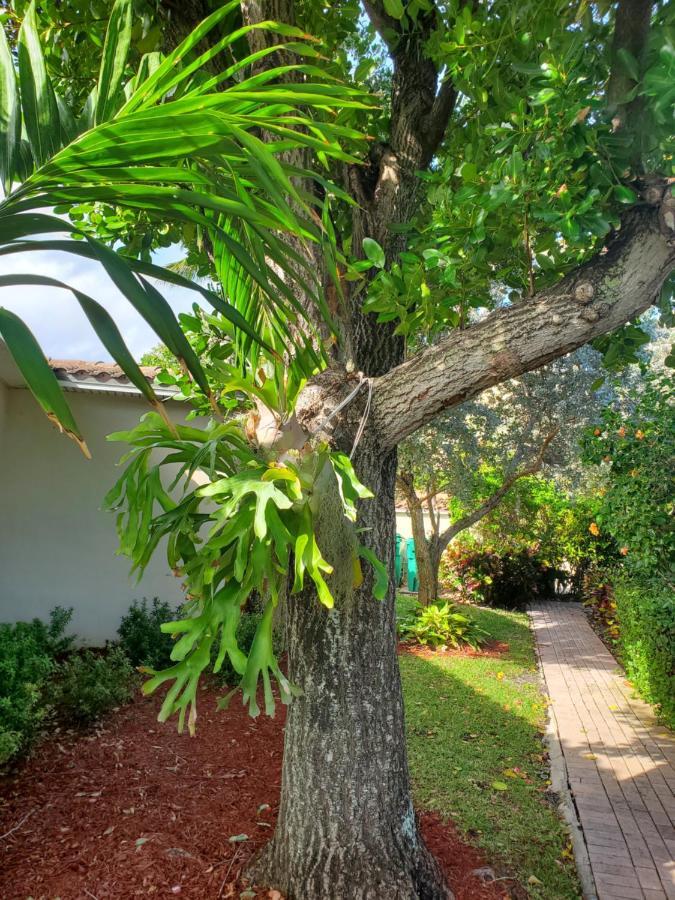 Ocean Side Resort - Updated Villa Hillsboro Beach Buitenkant foto